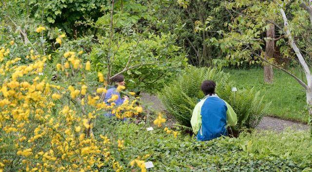 TANZPAKT Dresden Residenz Rosalind Masson Florence Freitag