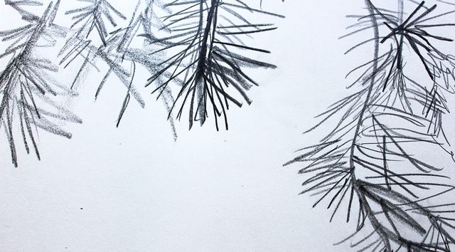 TANZPAKT Dresden Residenz Rosalind Masson Florence Freitag