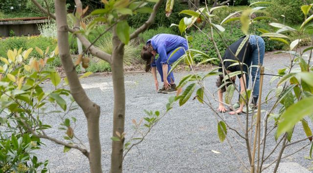 TANZPAKT Dresden Residenz Rosalind Masson Florence Freitag