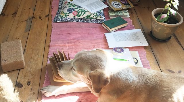 TANZPAKT Dresden Residenz Rosalind Masson Florence Freitag