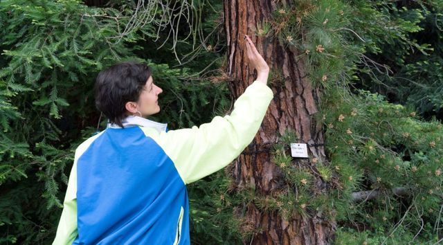 TANZPAKT Dresden Residenz Rosalind Masson Florence Freitag